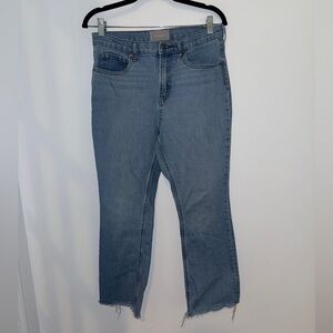 Everlane The Way High Straight Leg Raw Hem Jeans, sz 30